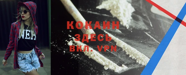 ПСИЛОЦИБИНОВЫЕ ГРИБЫ Богданович