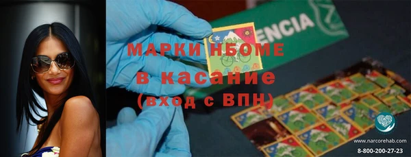 ПСИЛОЦИБИНОВЫЕ ГРИБЫ Богданович