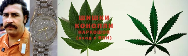 ПСИЛОЦИБИНОВЫЕ ГРИБЫ Богданович