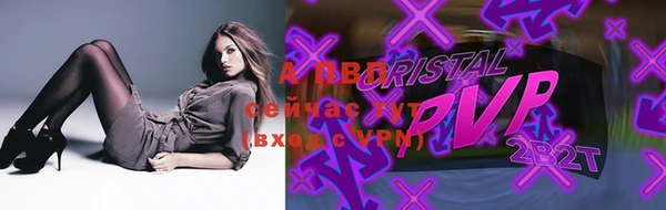ПСИЛОЦИБИНОВЫЕ ГРИБЫ Богданович