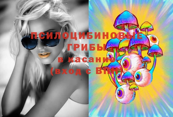 mix Богородицк