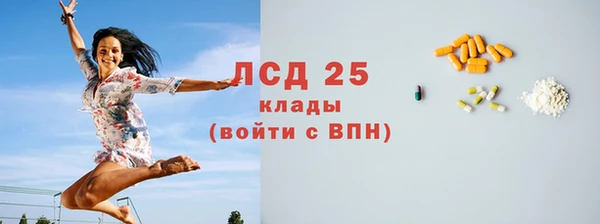 mix Богородицк