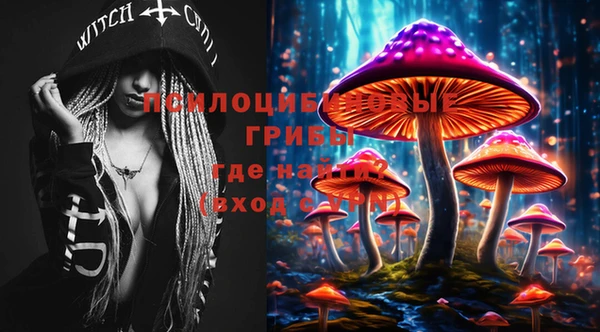 ПСИЛОЦИБИНОВЫЕ ГРИБЫ Богданович