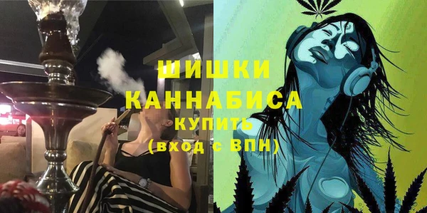mix Богородицк