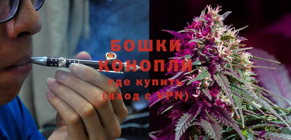 ПСИЛОЦИБИНОВЫЕ ГРИБЫ Богданович