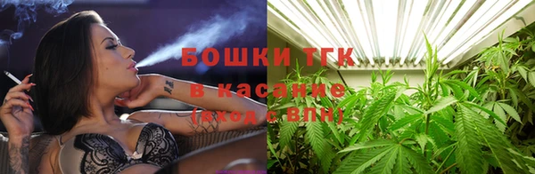 ПСИЛОЦИБИНОВЫЕ ГРИБЫ Богданович