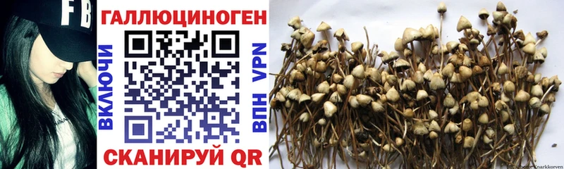 Галлюциногенные грибы мухоморы Дюртюли