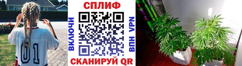 Каннабис гибрид  Дюртюли 